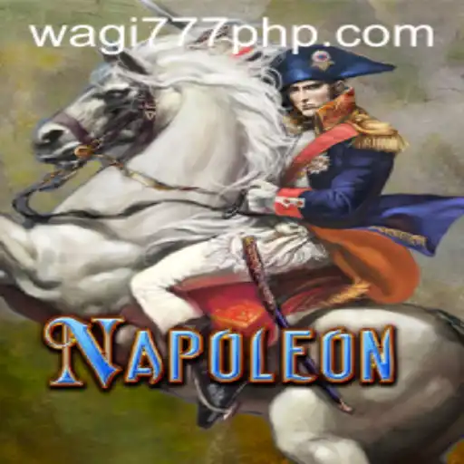Exploring Napoleon: A Classic Card Game with a Modern Twist